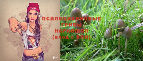 мяу мяу мука Инта