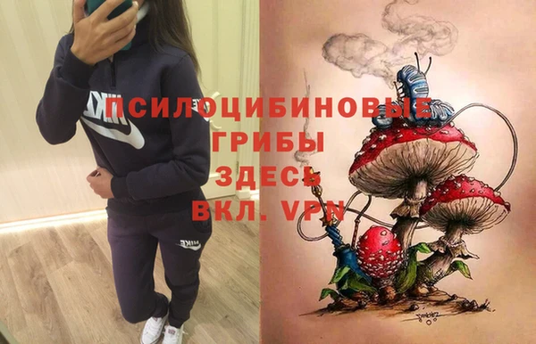прущие крисы Инсар