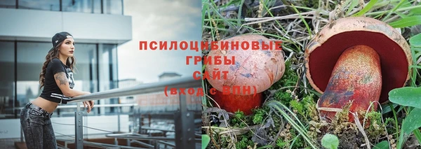 мяу мяу кристалл Иннополис
