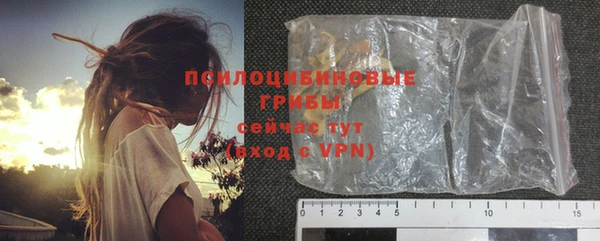 Альфа ПВП Каменка