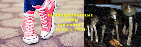 мяу мяу мука Инта