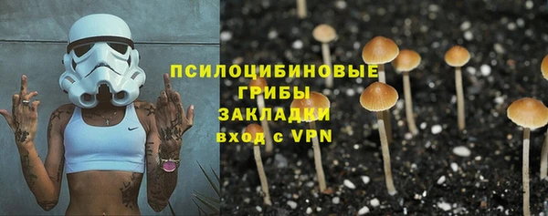 мяу мяу кристалл Иннополис