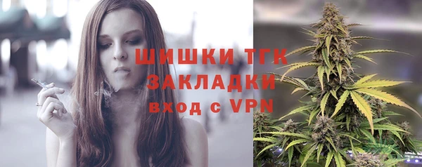 прущие крисы Инсар