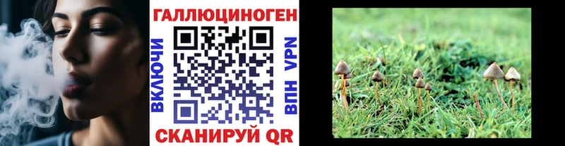 мориарти официальный сайт  Пушкино  Галлюциногенные грибы прущие грибы 