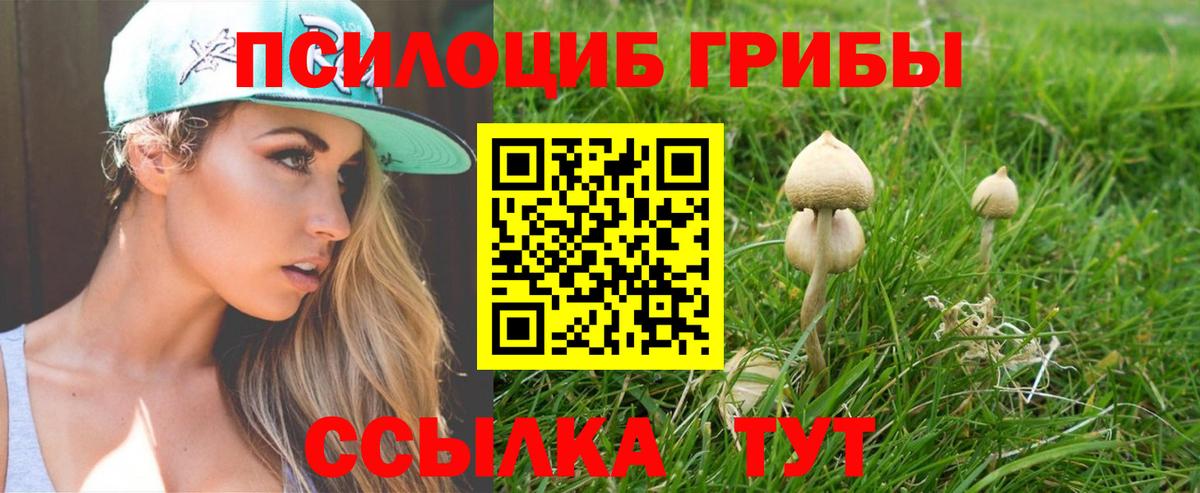 Галлюциногенные грибы GOLDEN TEACHER Пушкино