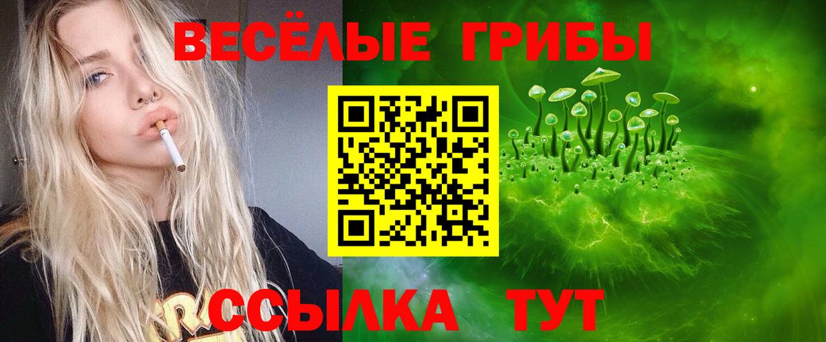Пушкино  Галлюциногенные грибы мухоморы  Вход с VPN 
